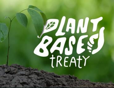 Vegan Runners UK endorsing ‘Plant Based Treaty’